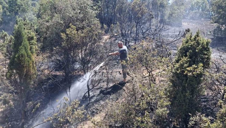 Tavşanlı’da arazi yangını