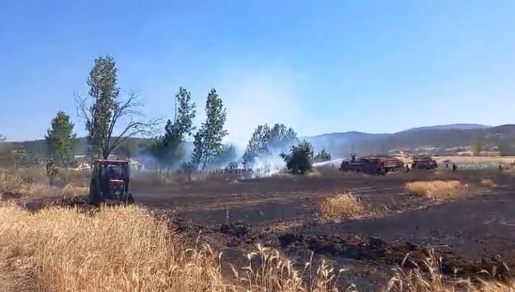 Tavşanlı’da buğday ekili alanda çıkan yangın kısa sürede söndürüldü