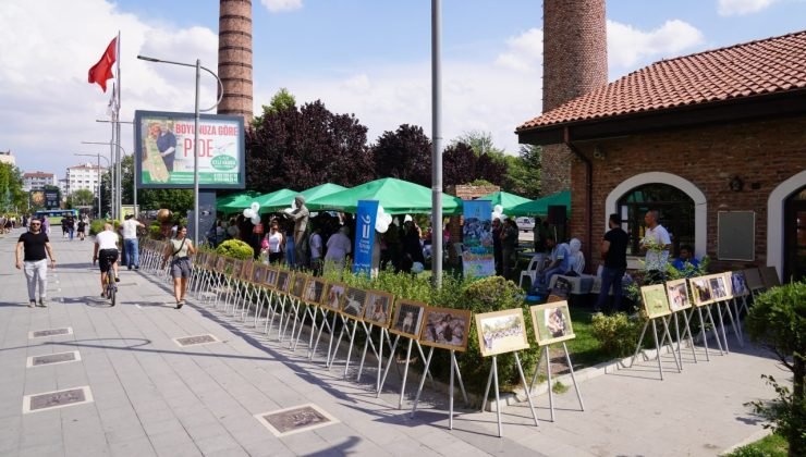 Tepebaşı’nda “satın alma sahiplen” şenliği