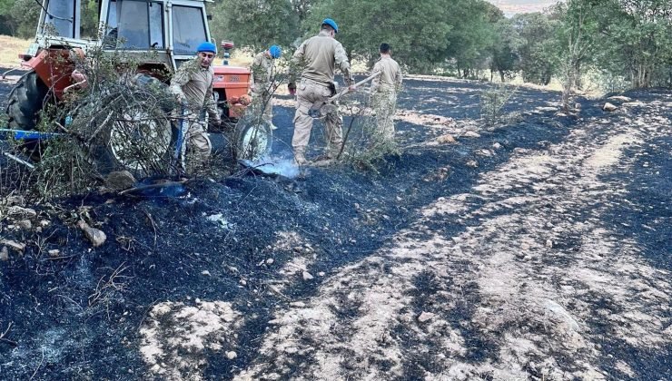 Uşak’ta iki ayrı orman yangını kontrol altına alındı