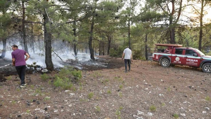 Uşak’ta ormanlık alanda çıkan yangın kontrol altına alındı