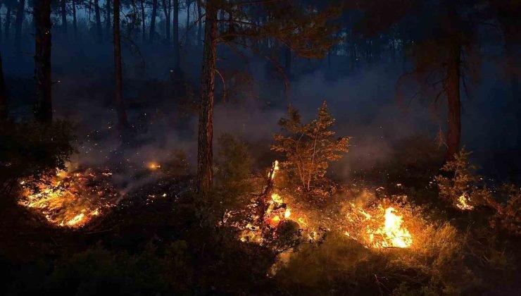 Uşak’ta ormanlık alanda çıkan yangına müdahale devam ediyor