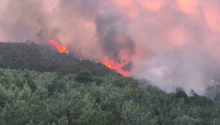 Uşak’ta ormanlık alandaki çıkan yangına müdahale devam ediyor