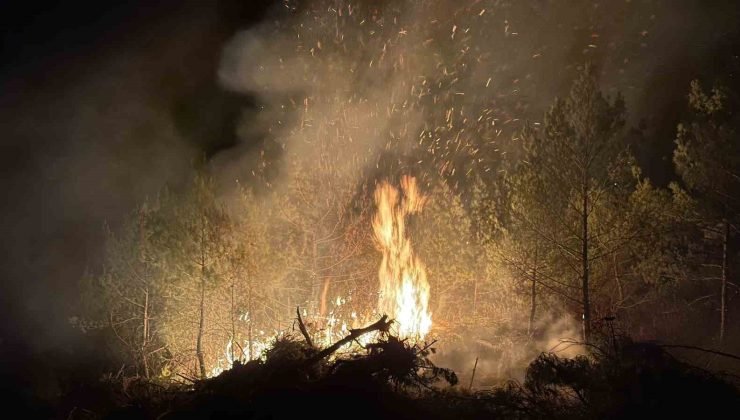 Vali Ergün yangın bölgesinde incelemelerde bulundu