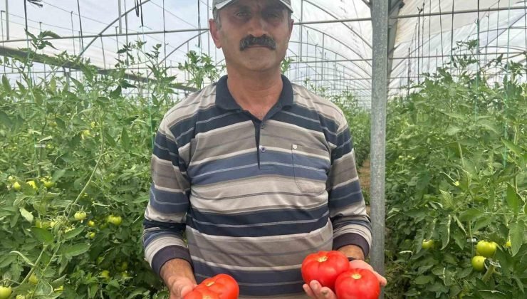 Yaş Sebze ve Meyve Üreticileri Birliği Başkanı Kılıç: “Ürünün yüzde 45’i vatandaşın eline ulaşamadan israf oluyor”