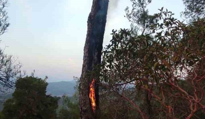 Yıldırımın neden olduğu yangın kısa sürede söndürüldü