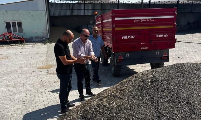 Seyitgazi Ziraat Odası yağlık ayçiçeği alımlarına başladı
