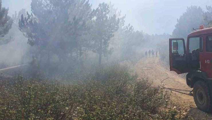 Afyonkarahisar Kırka’da orman yangını