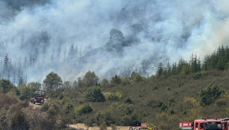 Afyonkarahisar’da Akharım orman yangını sürüyor