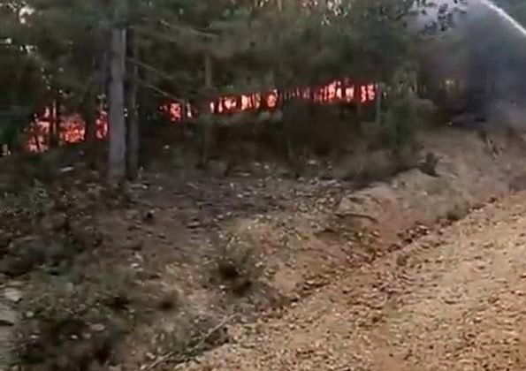 Afyonkarahisar’daki yangın kontrol altına alındı