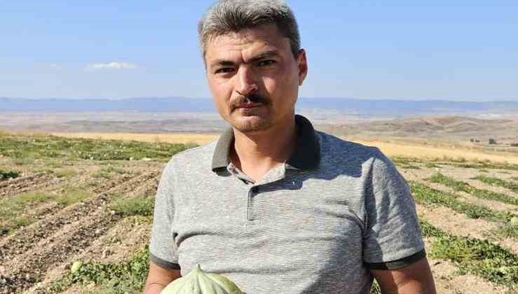 Beylikova’nın ünlü Halilbağı Mühürlü Kavunu üreticinin yüzünü güldürdü