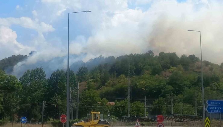 Bilecik’te çıkan otluk yangını kontrol altına alındı