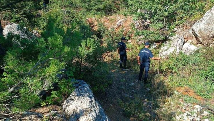 Bilecik’te ormanda toprağa gömülmüş naylona sarılı ceset bulundu