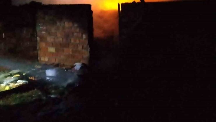 Bilecik’te samanlık yangını korkuttu