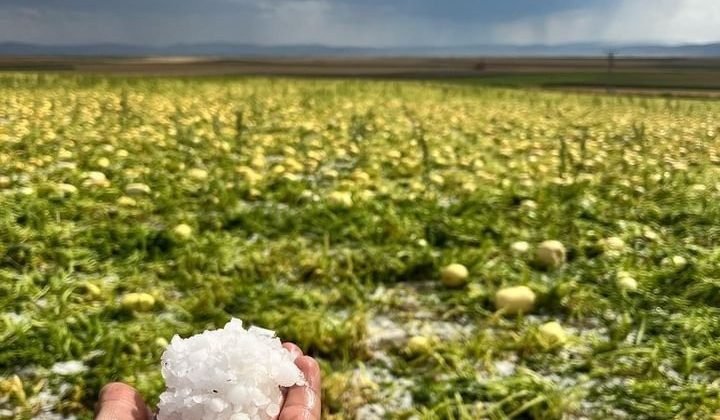 Çifteler ’de sağanak ve dolu yağışı etkili oldu