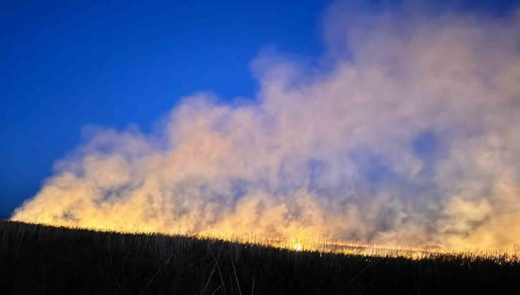 Eber Gölü’nde yangın: 9 dönüm alan zarar gördü