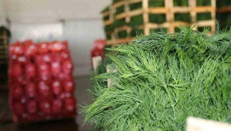 Eskişehirli çiftçilerin ihracat başarısı