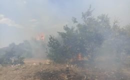 Han’da çıkan yangın büyümeden söndürüldü