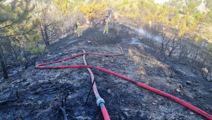 Kütahya’da iki ayrı noktada yangın
