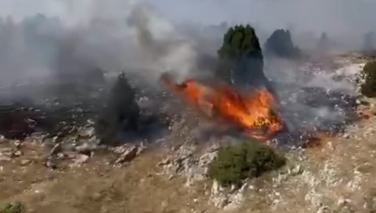 Kütahya’da orman yangını: 10 dekar alan zarar gördü