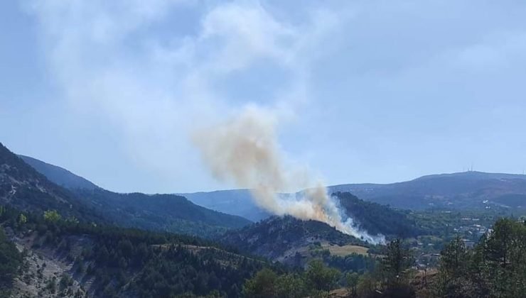 Kütahya’da orman yangını