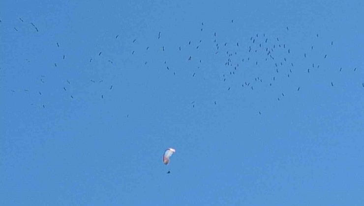 Leyleklerin paraşütçülerle dansı mest etti