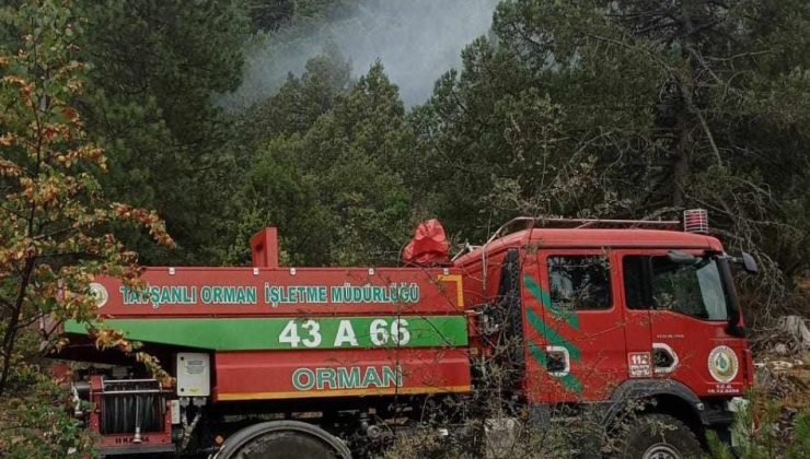 Ormanlık alana düşen yıldırım yangına neden oldu