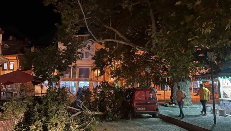 Park halindeki aracın üzerine ağacın kırılan dalı düştü