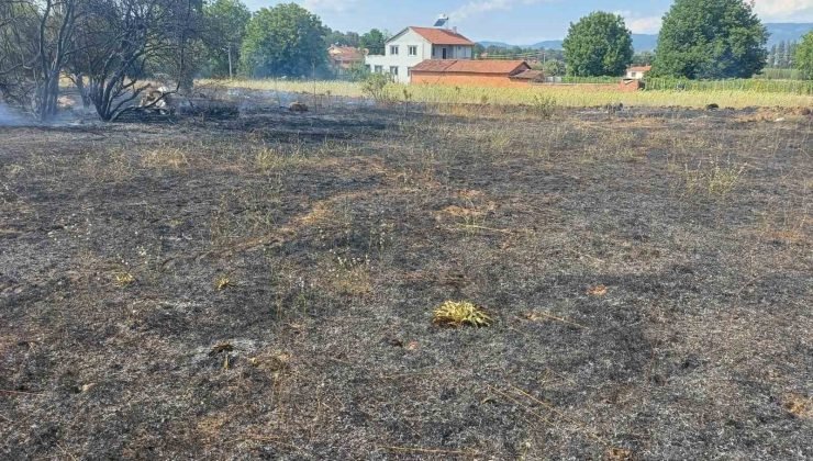 Pazaryeri’nde çıkan arazi yangını korkuttu