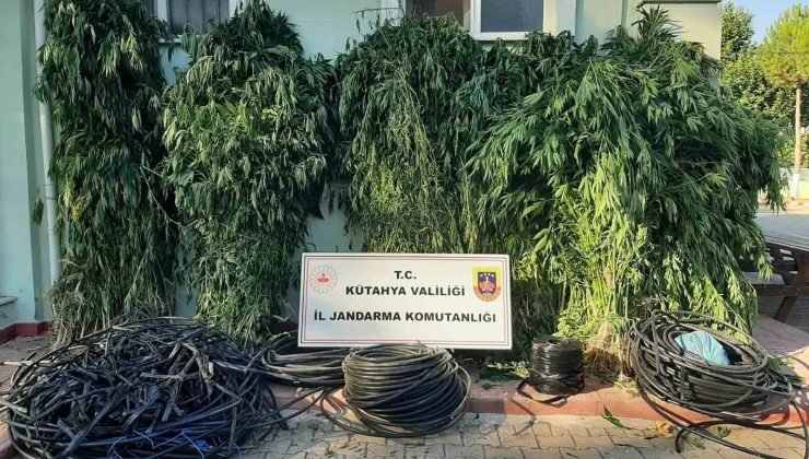 Simav’da uyuşturucu operasyonu: 4 şüpheli gözaltına alındı