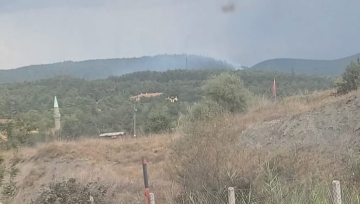Tavşanlı Tunçbilek’te yıldırım düşmesi sonucu orman yangını