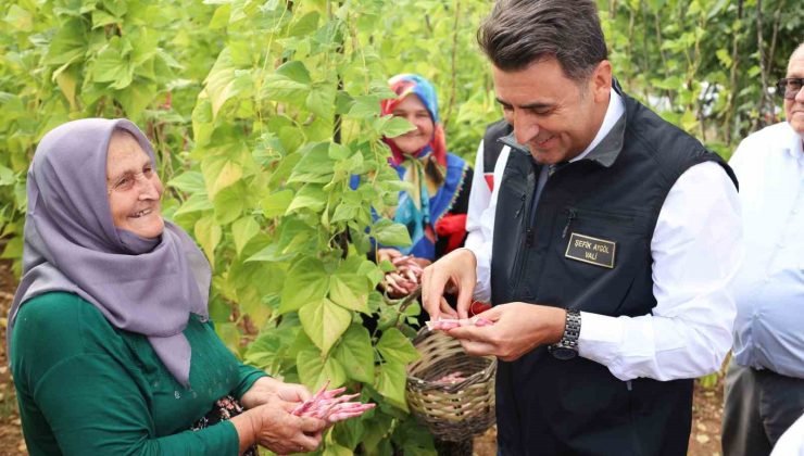 Türkiye’nin en güzel barbunyası: ’Kınık Barbunyası’