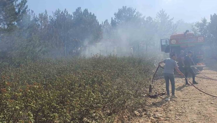 Valilikten Kırka yangını ile ilgili açıklama