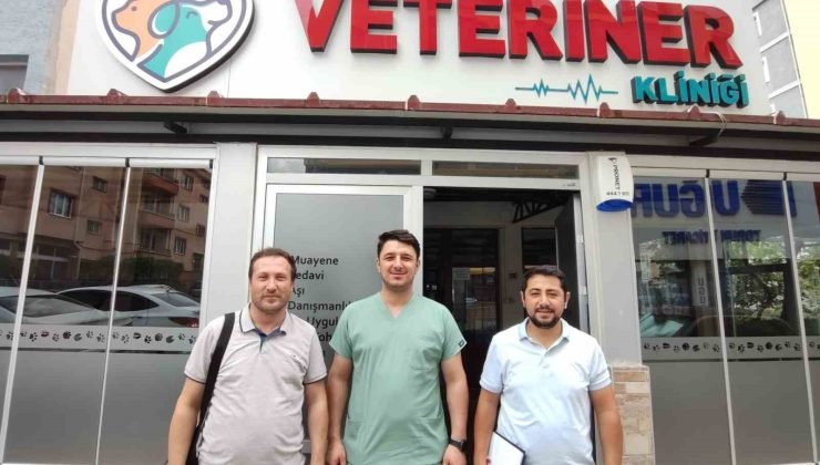 Veteriner klinikleri denetleniyor