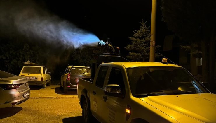 Yaz aylarında artan sivrisineklere karşı ilaçlama çalışmaları