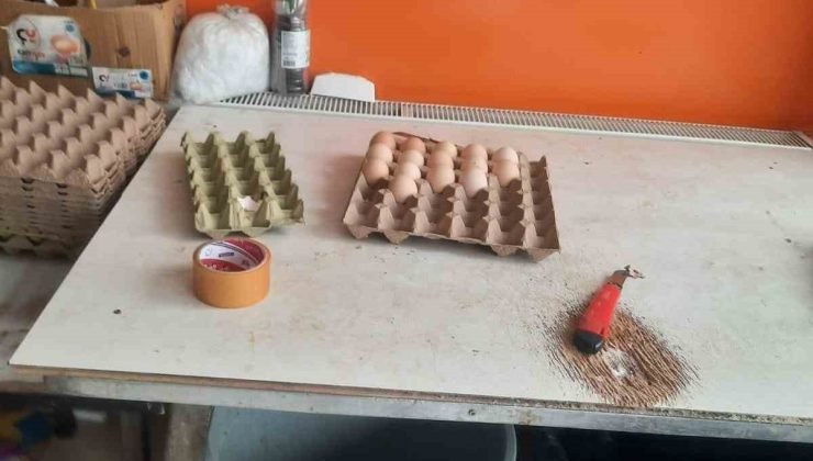 Bilecik’te zabıta, vatandaşı ‘köy yumurtası’ diye kandıran satıcıyı yakaladı