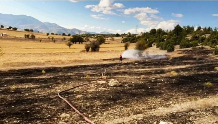 Emet’te yüksek gerilim hatlarına çarpan kuşlar arazi yangınına neden oldu