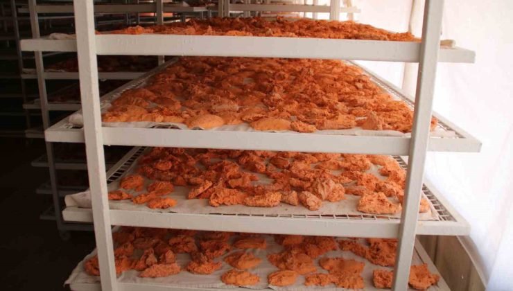 Gediz Tarhanası Avrupa yolunda