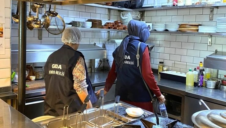 Gıda işletmelerine yönelik denetim