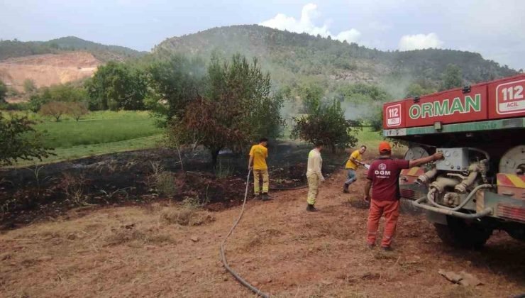 Göksu Nehri kenarında çıkan yangın kısa sürede söndürüldü
