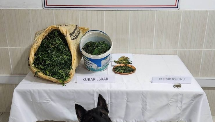 Jandarmadan uyuşturucu operasyonu: 2 kişi tutuklandı