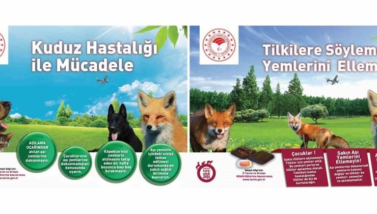 Kuduza karşı yaban hayvanlarının aşılama çalışmaları devam ediyor