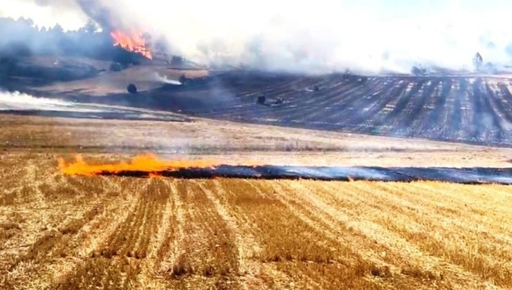 Kütahya’da ormana sıçrayan anız yangını büyümeden söndürüldü