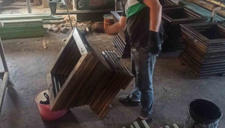 Osmaneli Belediyesi çiçekleri artık kendi yetiştirecek