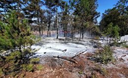 Osmaneli’de çıkan orman yangını büyümeden söndürüldü