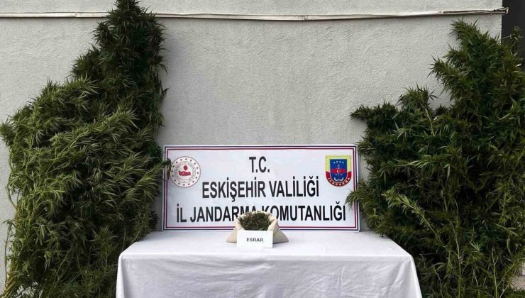 Uyuşturucu imal edip ticaretini yaptığı belirlenen şüpheli yakalandı