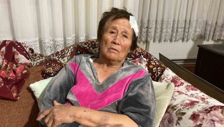 66 yaşındaki kadını sopa ve bisiklet ile acımasızca darp etti