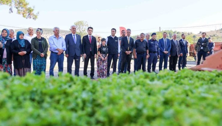 Bilecik’te 1 milyon 126 adet marul fidesi dağıtıldı
