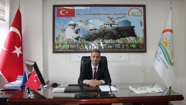 Bilecik’te çitçilerin kahverengi kokarca paniği