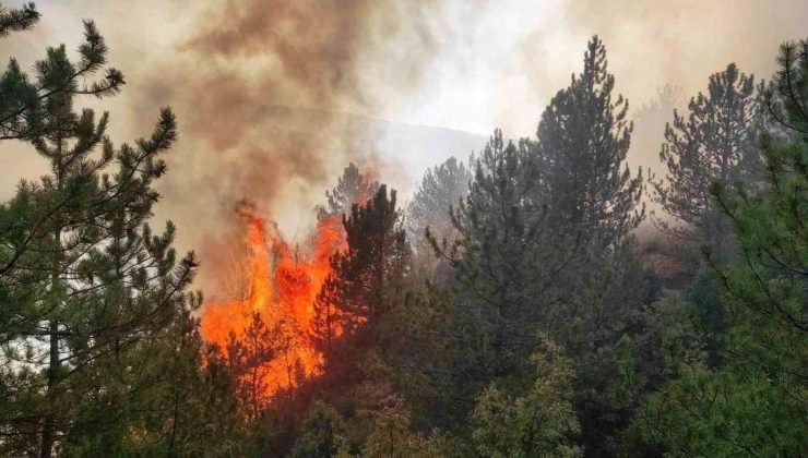 Hisarcık’ta orman yangını